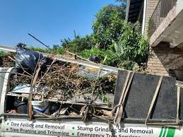 Best Dumpster Rental Services  in Ome, GA